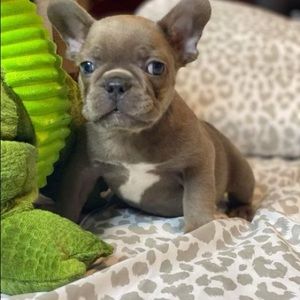 Meet your Posher, Manny